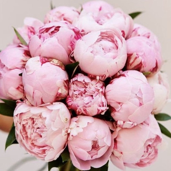 Meet your Posher, Sarah - Picture 1 of 1